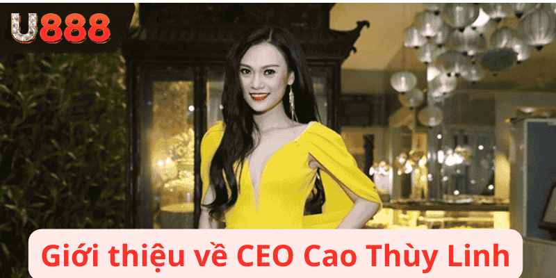 Giới thiệu về CEO Cao Thùy Linh U888
