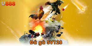 Đá gà SV128